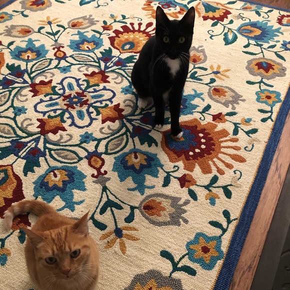 Meet your Posher, Paige - Picture 5 of 5